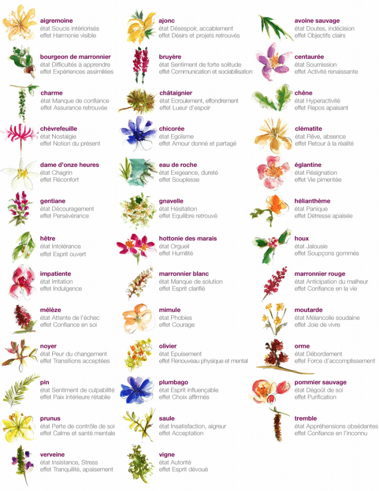 fleurs de bach bien-être au rendez-vous sterenn nantes bouguenais bio